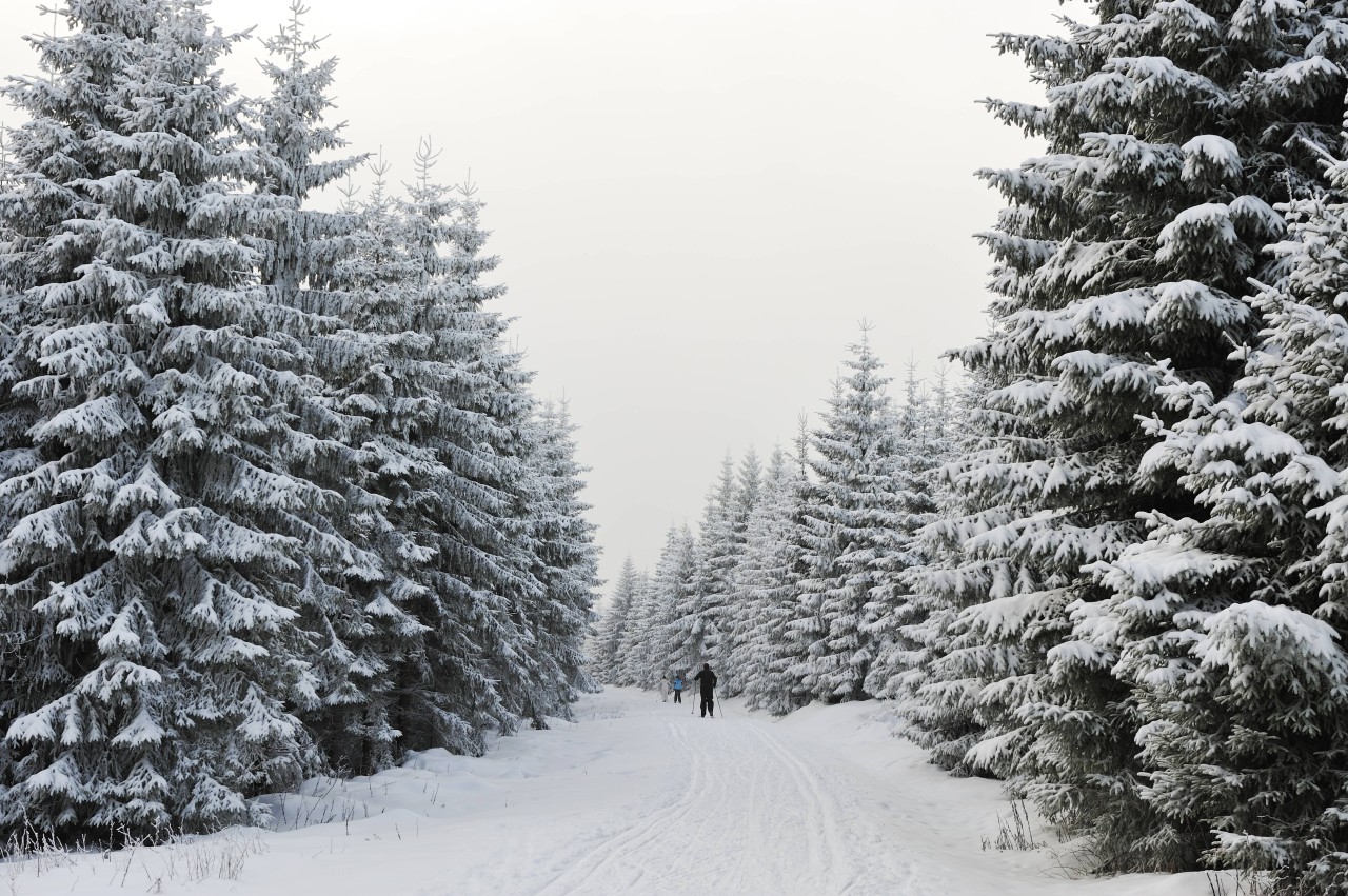 Wetter in Thüringen: Halten Schneefälle nächste Woche an? (Symbolbild)