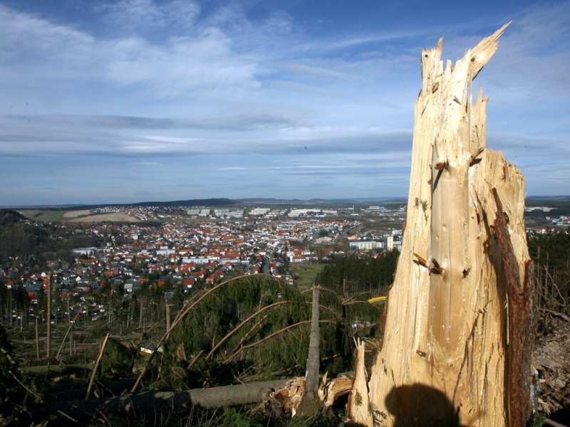 Thüringer Wald.jpg