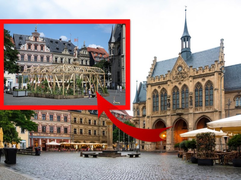 erfurt fischmarkt pavillon.jpg