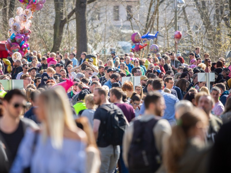 Bei strahlendem Sonnenschein startete am Sonntag (08.04.2018) das 25. Erfurter Entenrennen an der Krämerbrücke. Wieder einmal legten sich die Teilnehmer bei der Gestaltung der kleinen Plastik-Enten ordentlich ins Zeug. Hier findet ihr die schönsten Bilder!