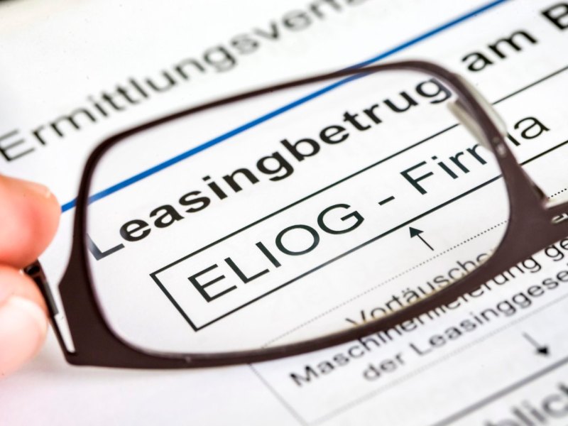 75593184 eliog.jpg