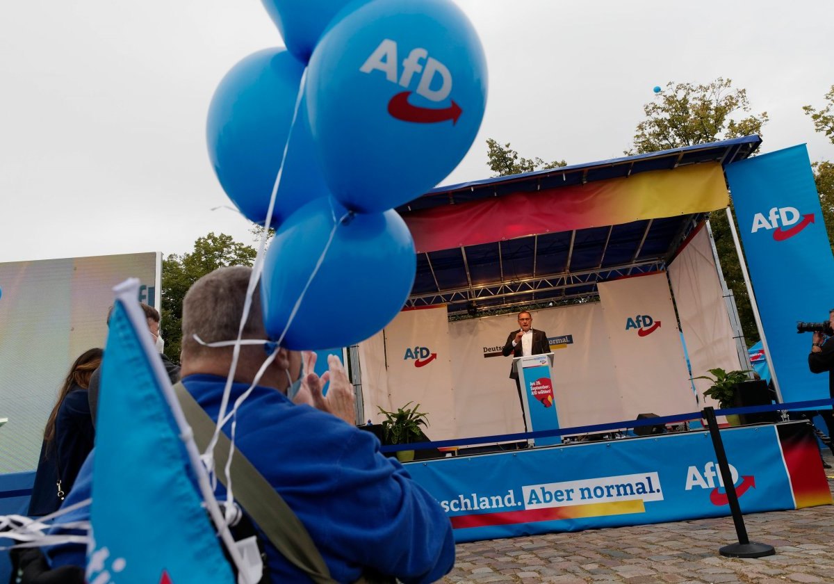 AfD.jpg