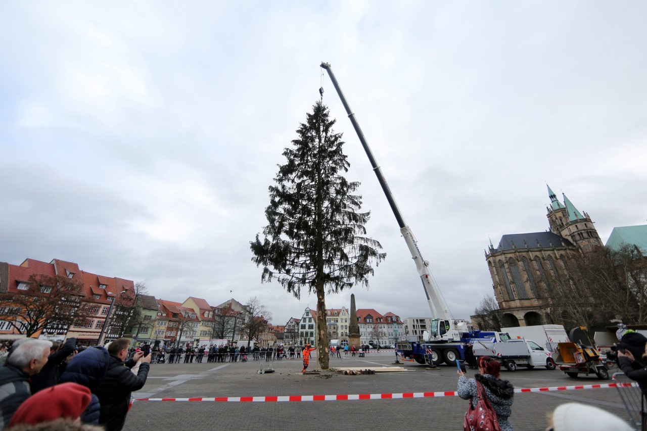 Hier wird der alte Rupfi im Januar 2019 abtransportiert. Man erkennt: Der Weihnachtsbaum hat ausgedient.