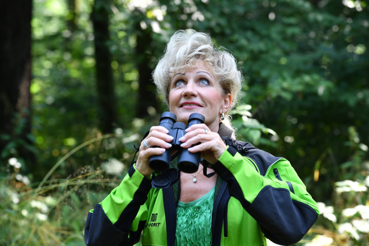 Forstministerin Birgit Keller setzt gegen das Waldsterben auf mehr Mischwälder und Waldumbau.