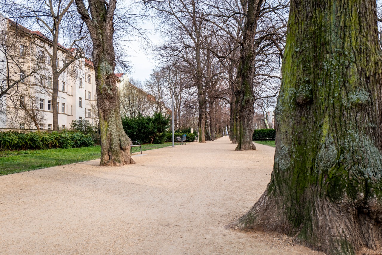 So leer war es im brühler Garten am Wochenende nicht. Ganz im Gegenteil! (Archivlbild) 