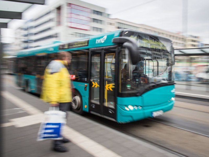 Bus