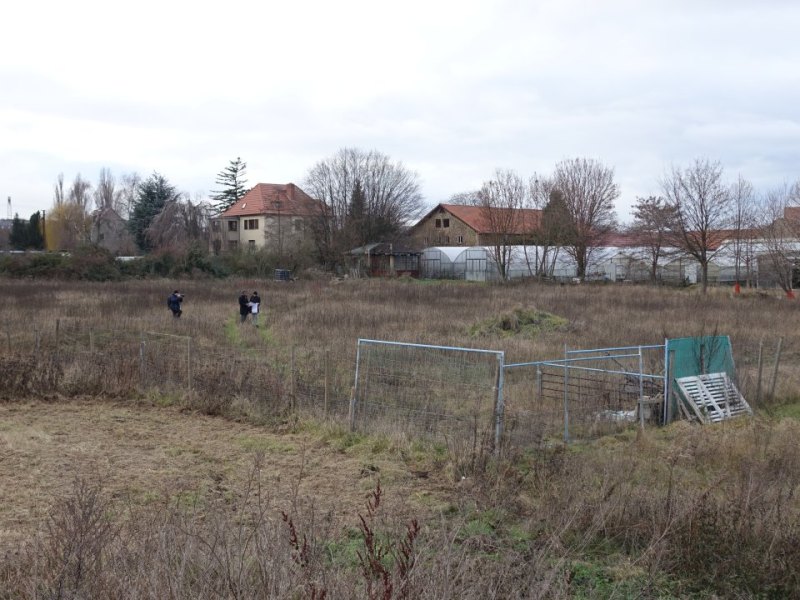 DSC00220.JPG