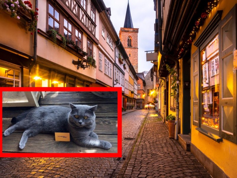 Erfurt.jpg