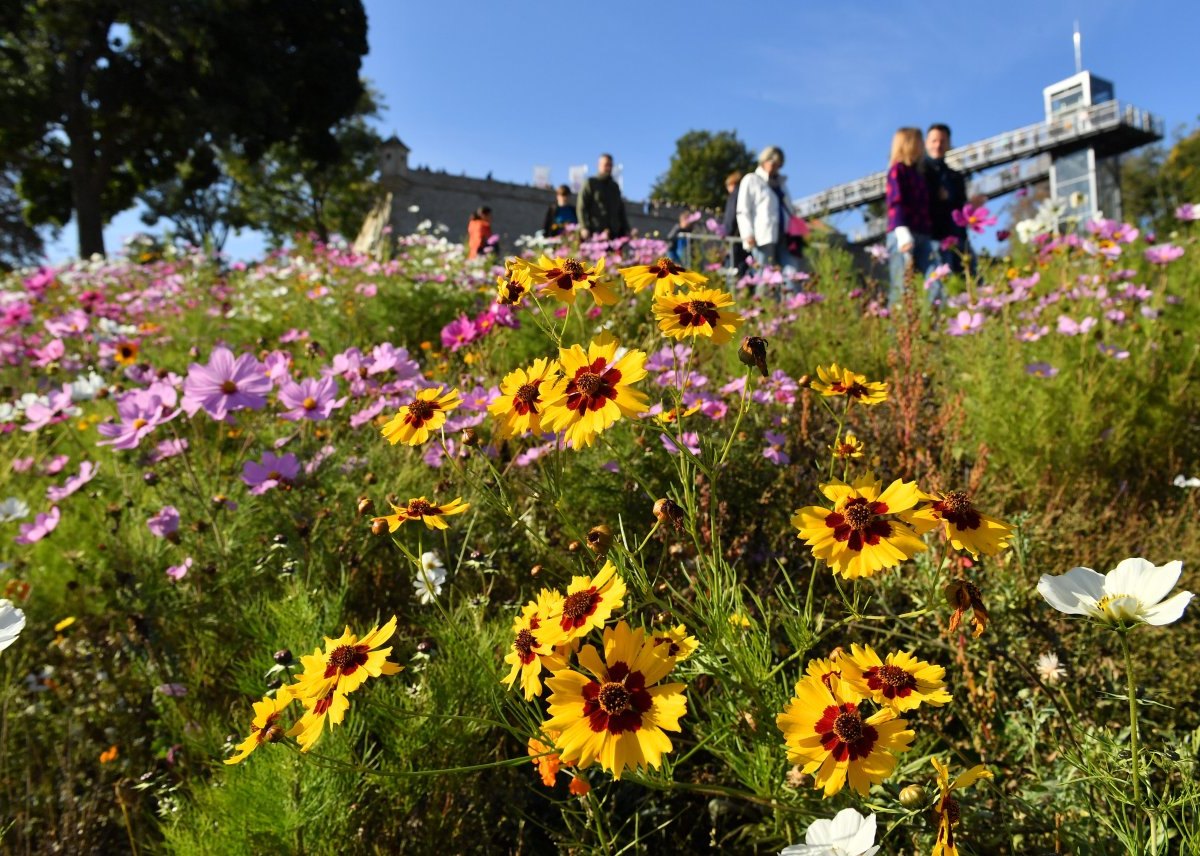 Erfurt Egapark.jpg