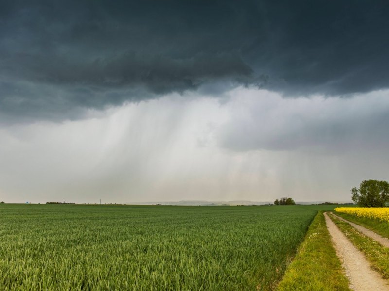 Erfurt Phänomen am Himmel Auge Thüringen Kühnhausen