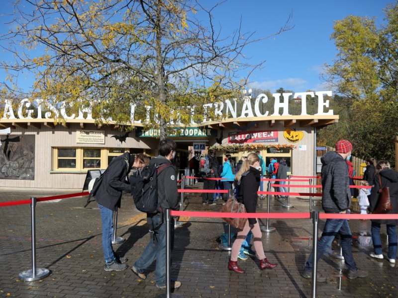 Erfurt-Zoo-Magische-Lichternächte.jpg