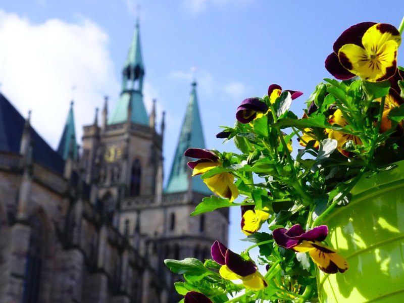 Erfurter Altstadtfrühling 2018