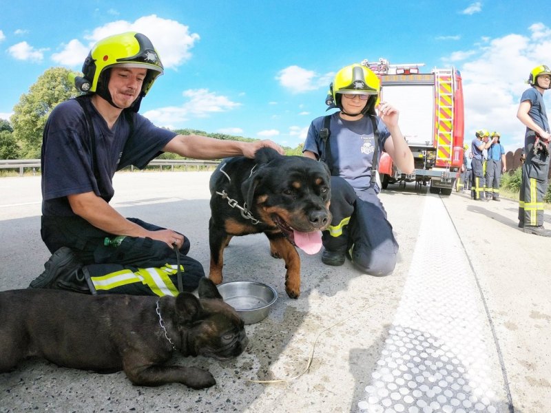 Feuerwehr Tierrettung A4 Gera Langenberg