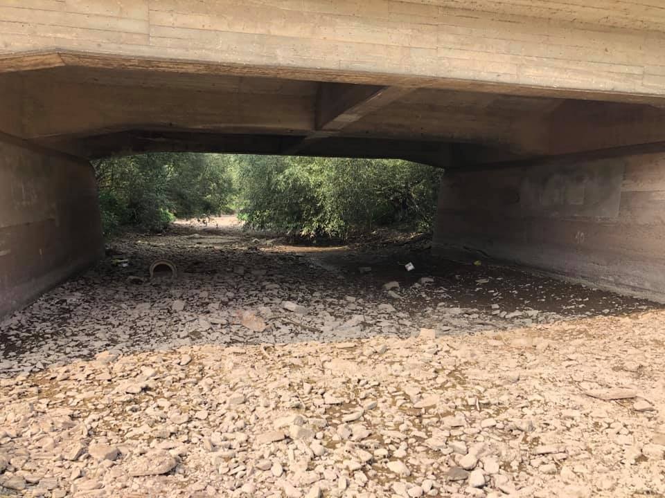 Eigentlich fließt unter der Brücke das Wasser der Zorge. Doch der Sommer hat den Fluss völllig ausgetrocknet.