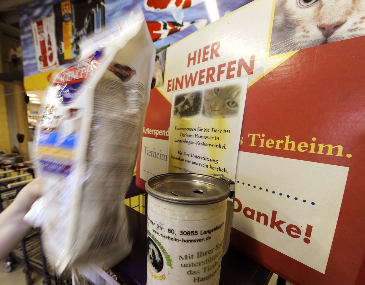 Eine Spendenbox für Tierfutter, ähnlich wie diese, wurde im Rewe in Weimar-West aufgestellt.