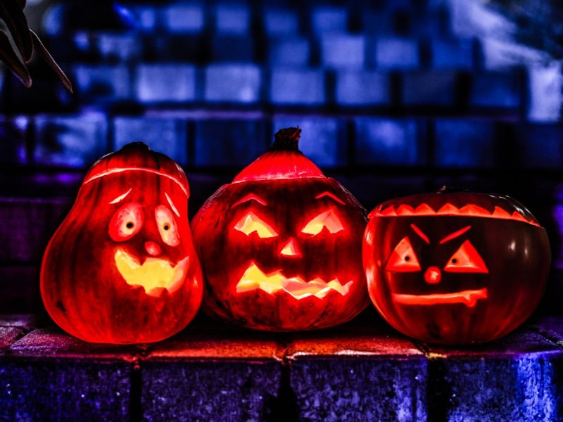 Halloween Kürbisse Kürbis gruseln gruselig Grusel Horror Symbol, Symbolfoto, Symbolbild