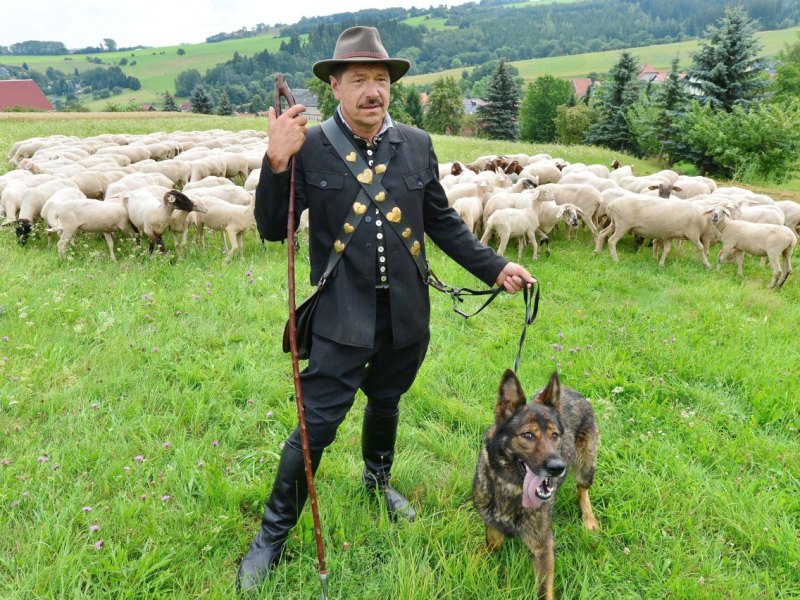 Herbert Kind Schäfer.jpg