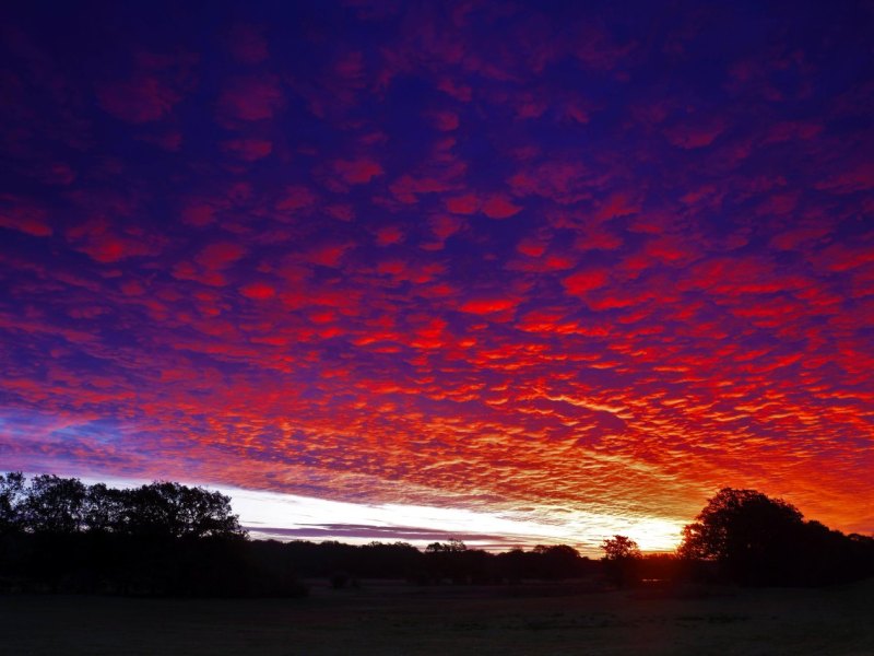 Himmel Wolken Sonnenuntergang lila Farben