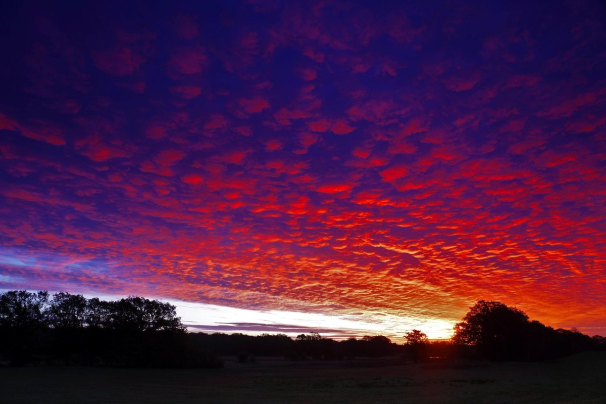 Himmel Wolken Sonnenuntergang lila Farben