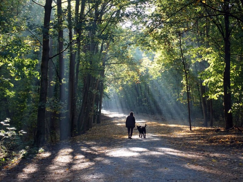 Hund-Erfurt-Steigerwald