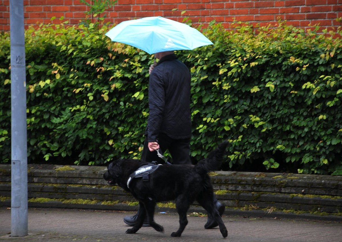 Hund-Gera-Thüringen.jpg