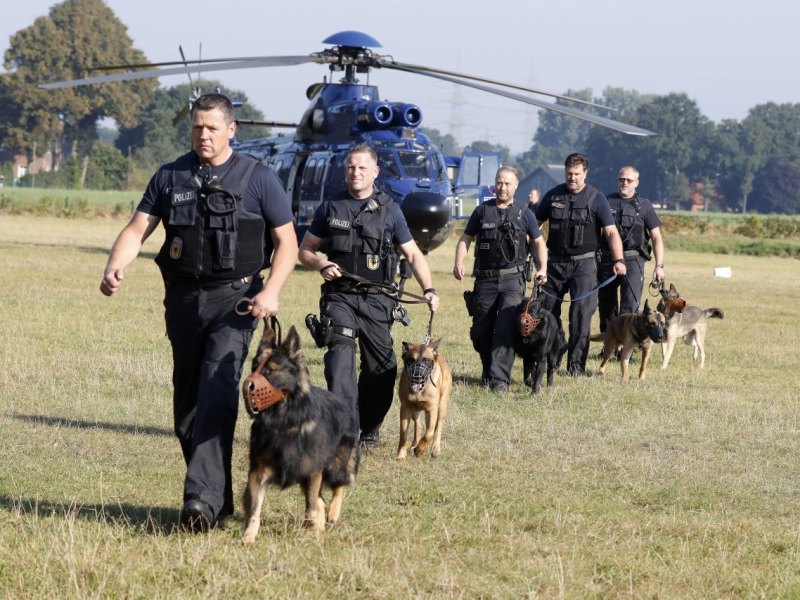 Hundestaffel Spürhund Hubschrauber Suchaktion