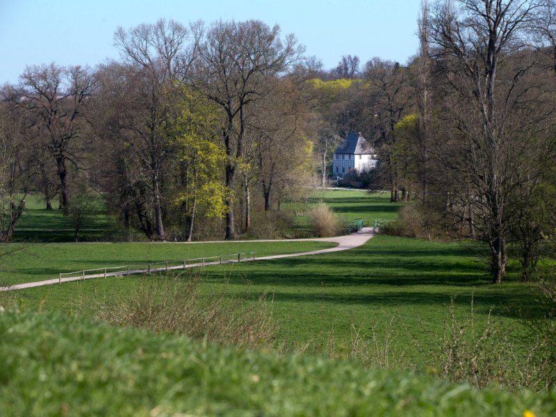 Ilmpark Weimar.jpg