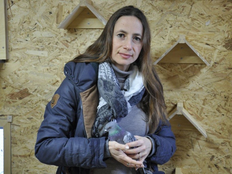 Kerstin Wuthenow Tauben Tierschutzverein Jena