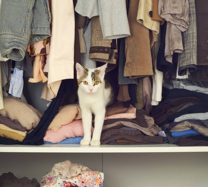 Kleiderschrank