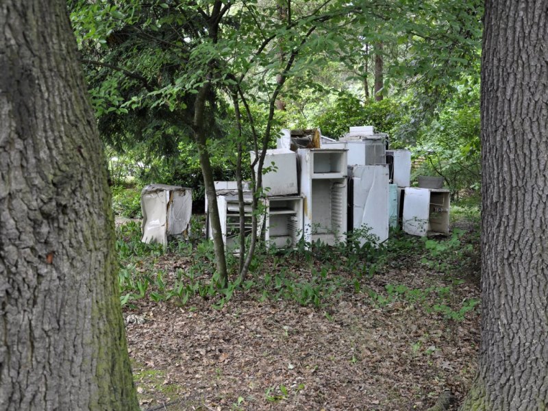 Müll Thüringen Wald.jpg