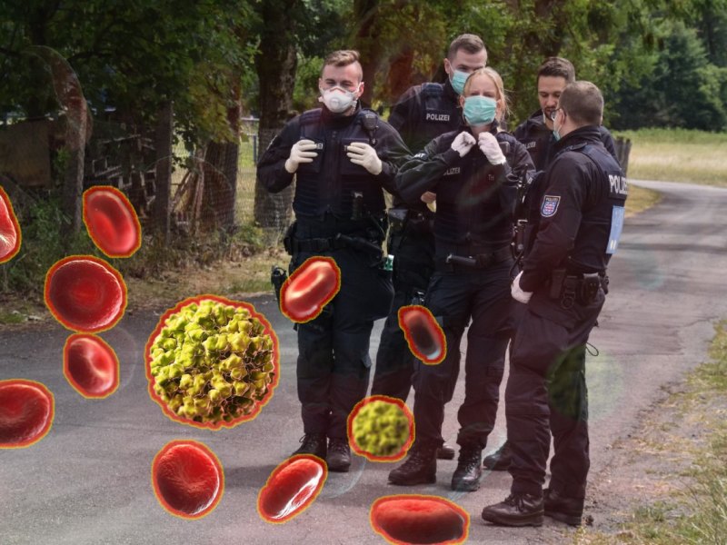 Norovirus