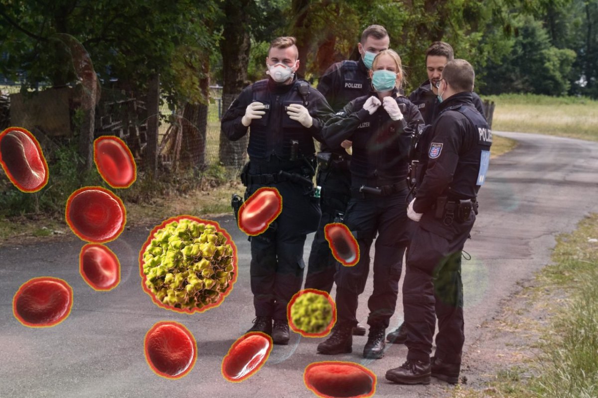 Norovirus