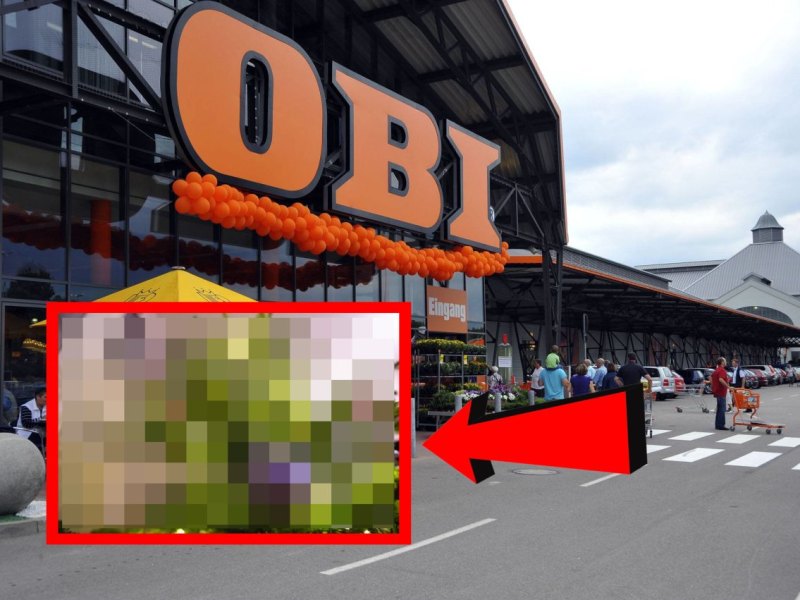 Obi in Erfurt