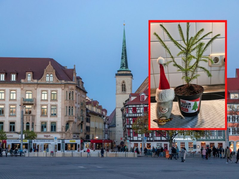 Ohne Pixel Rupfi.jpg
