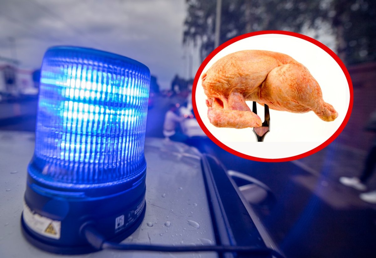 Polizei und huhn.jpg