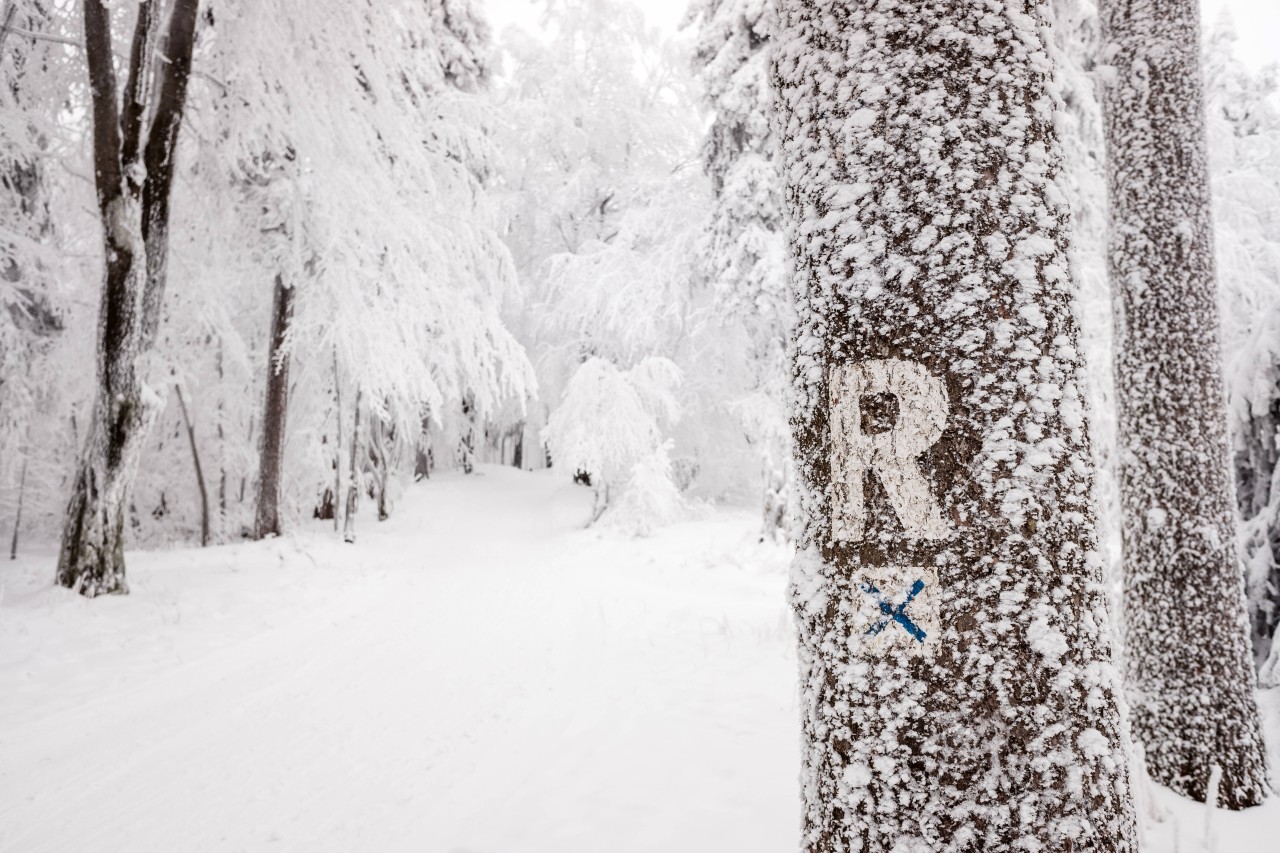 Viel Schnee liegt derzeit am Rennsteig. 