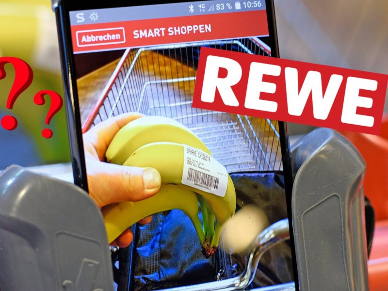 Rewe in Gotha.jpg