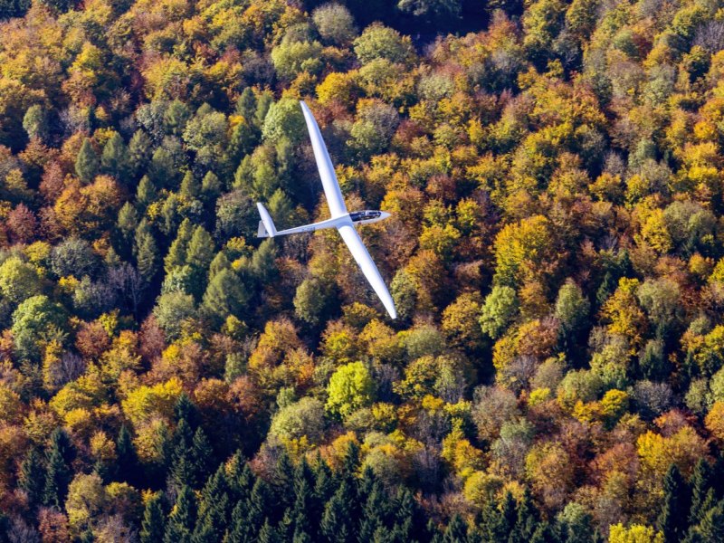 Segelflugzeug