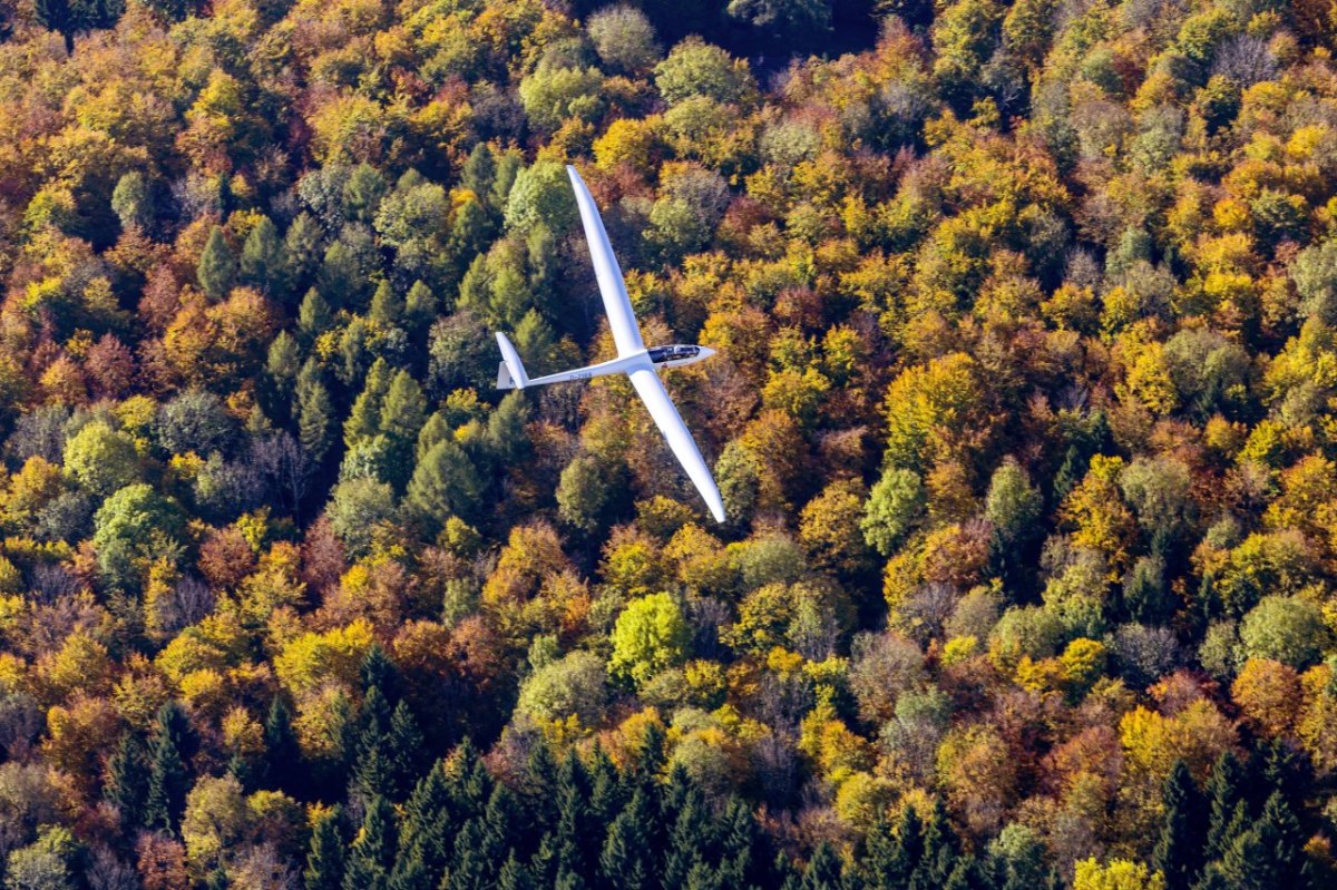 Segelflugzeug