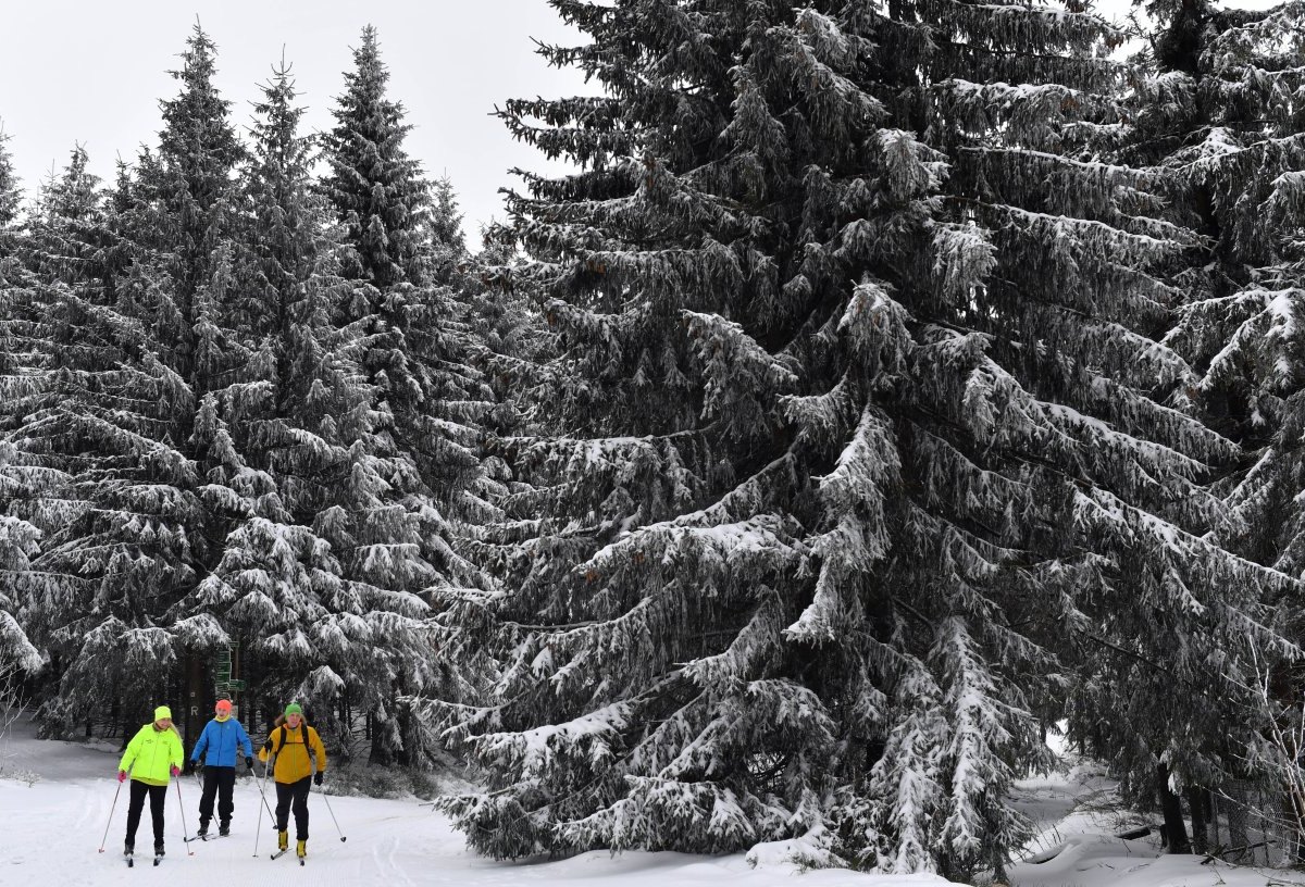 Skifahrer im Thüringer Wald