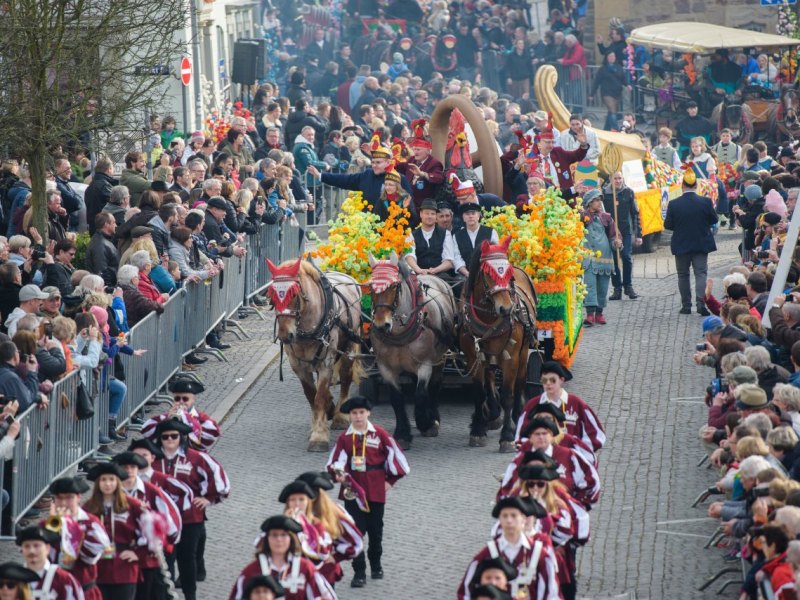 Sommergewinn Eisenach 2018