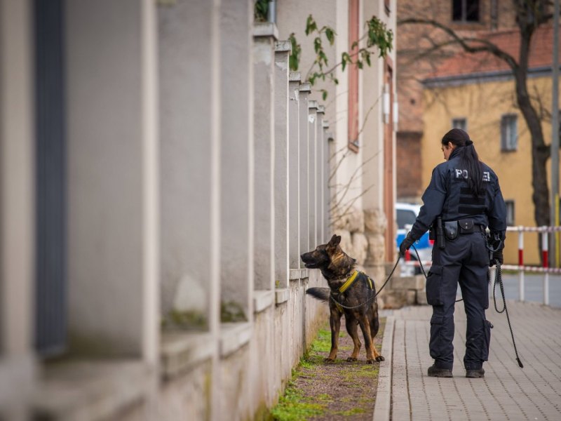 Spürhund vermisst Suche Fahndung.jpg