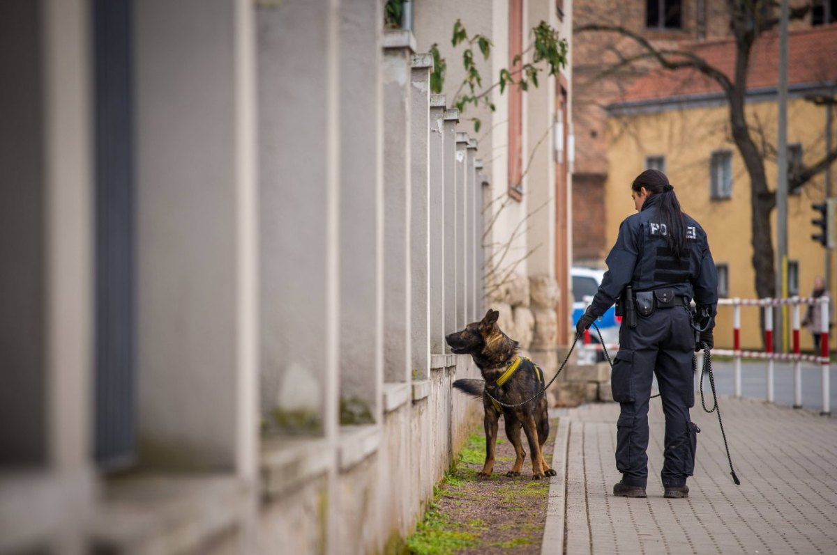 Spürhund vermisst Suche Fahndung.jpg