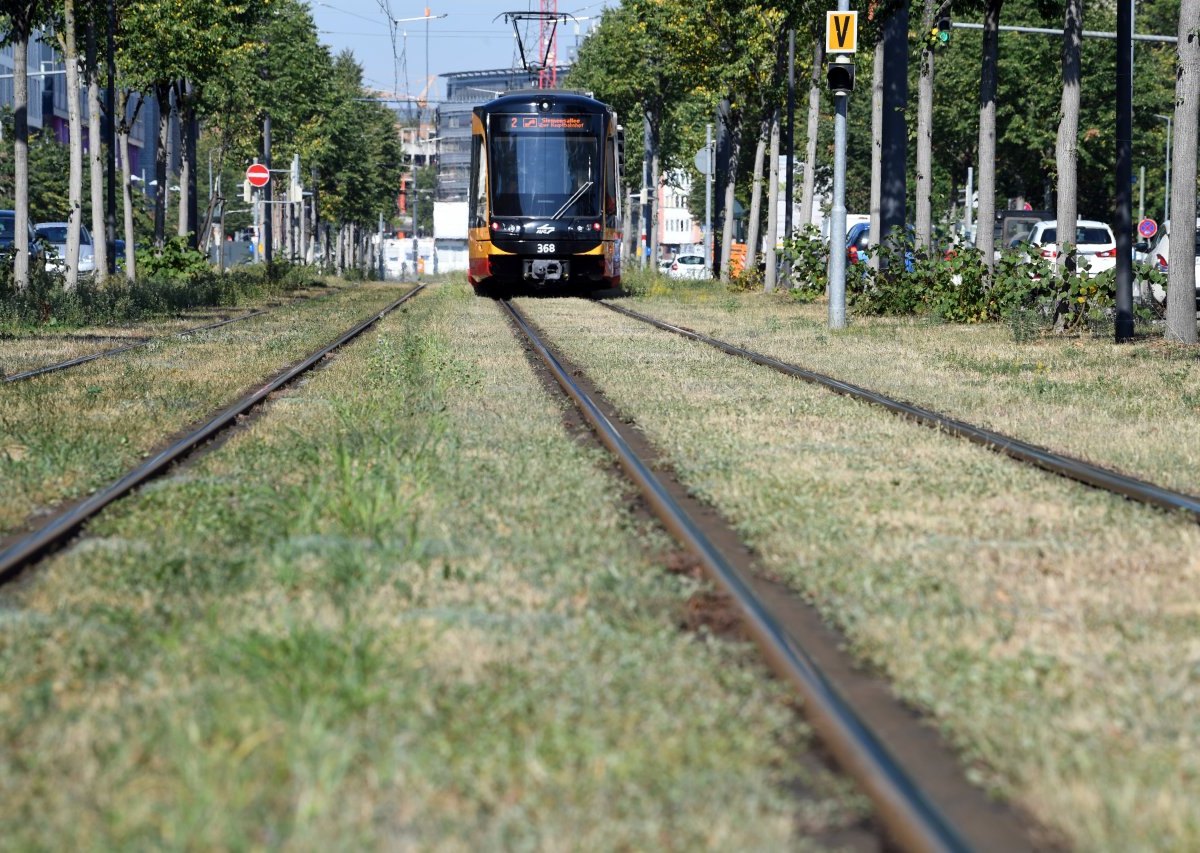 Straßenbahn.jpg