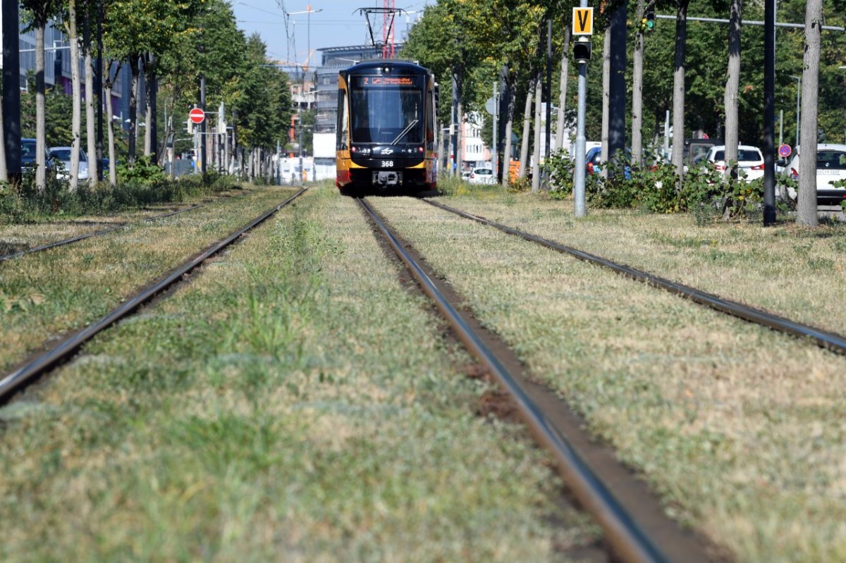 Straßenbahn.jpg