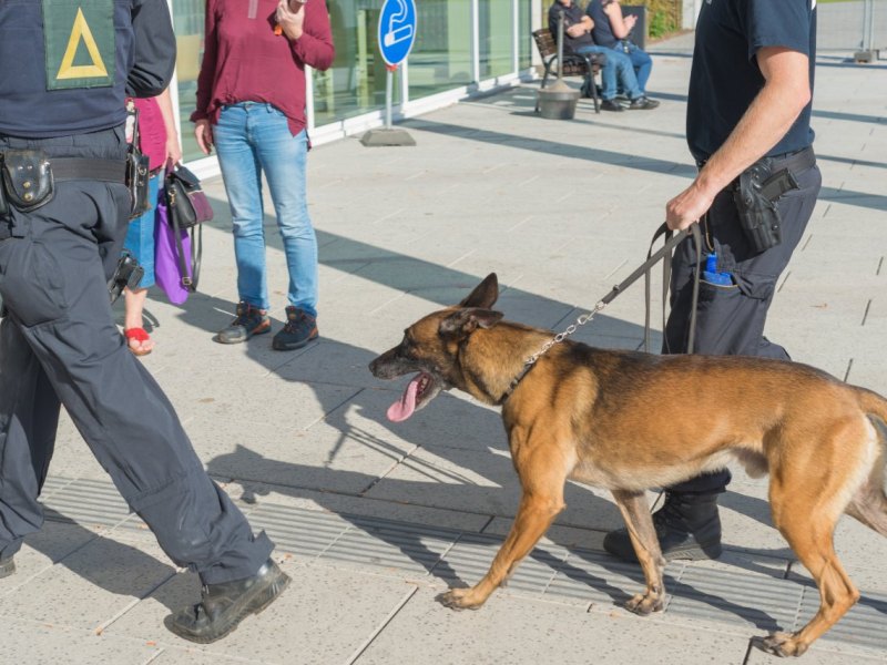 Suchhund