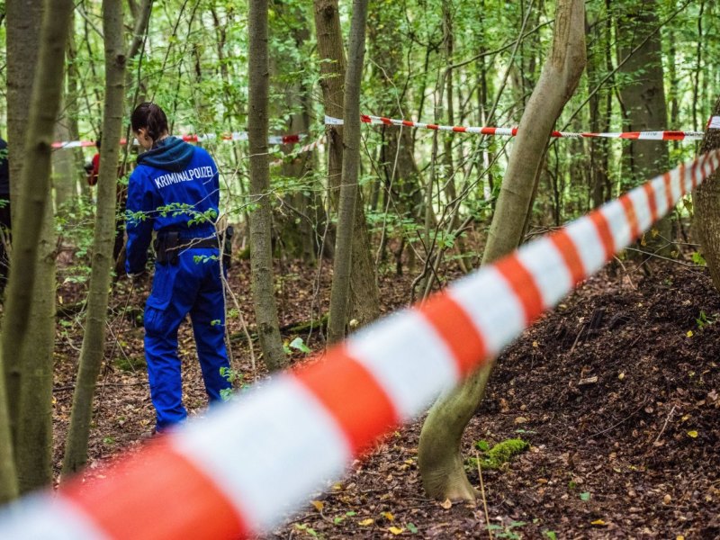 Tatort Wald Spurensicherung.JPG