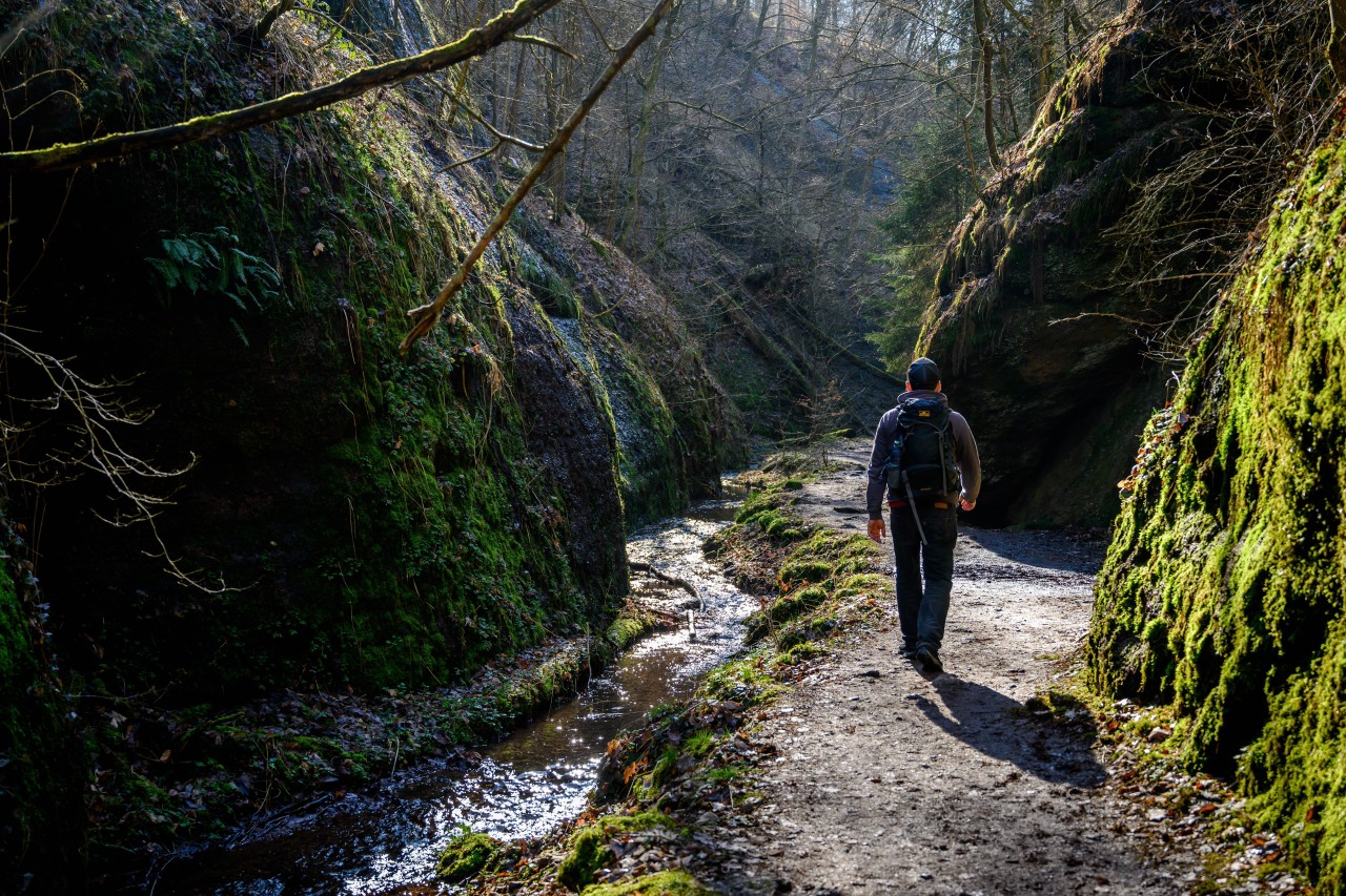 Zahlreiche Wanderwege in Thüringen könnten bald der Vergangenheit angehören. (Symbolbild)