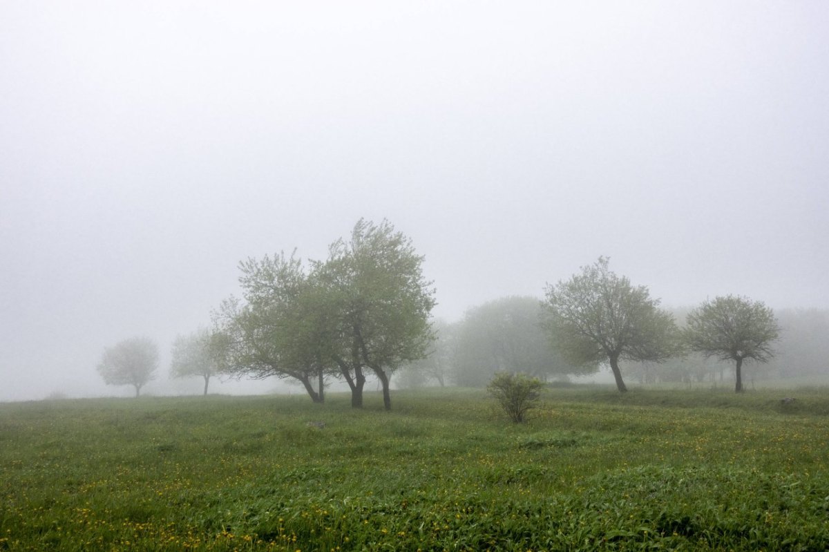 Thüringen Wetter