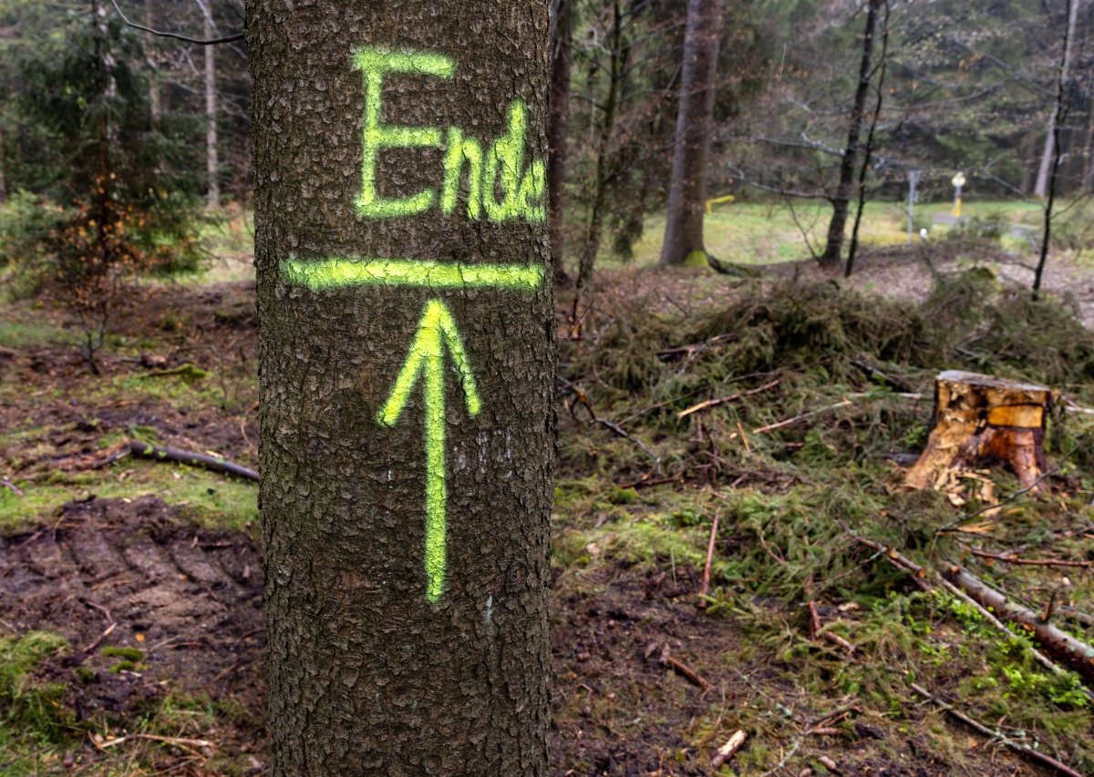 Thüringer Wald.jpg